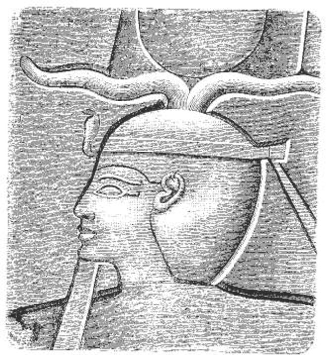Sheshonq 1er - Wikipedia Sheshonq 1er - Wikipedia
