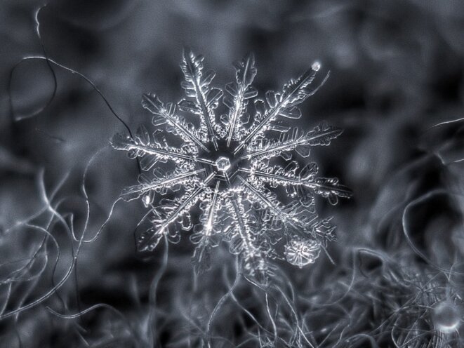 flocon-neige-3-1
