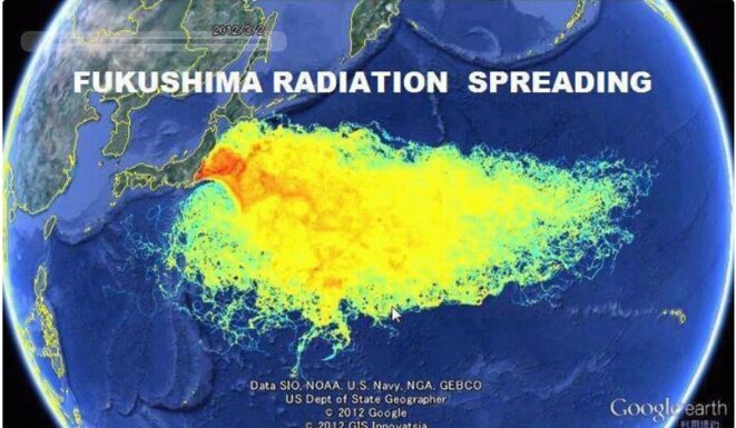 fukushima-contamination-du-pacifique-02