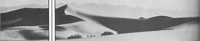 iforep-3