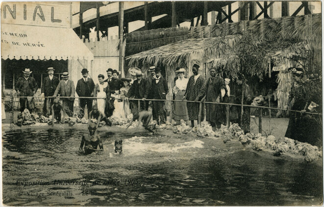 Photo d'une des mise en scène « zoologique » Photo d'une des mise en scène « zoologique »