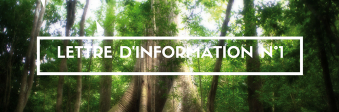 Droits des Peuples Autochtones de Guyane, la Lettre d'Information N°1