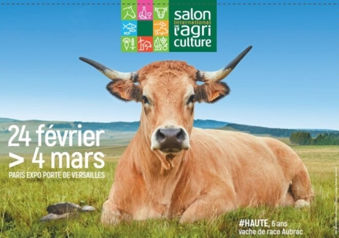 la-vache-et-le-president
