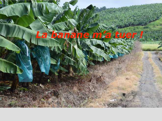 banane-ma-tuer