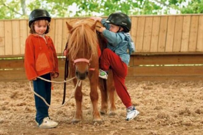 poney-club-du-port-aux-cerises-draveil-1342000880