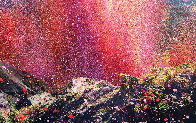 explosion-de-fleurs-2