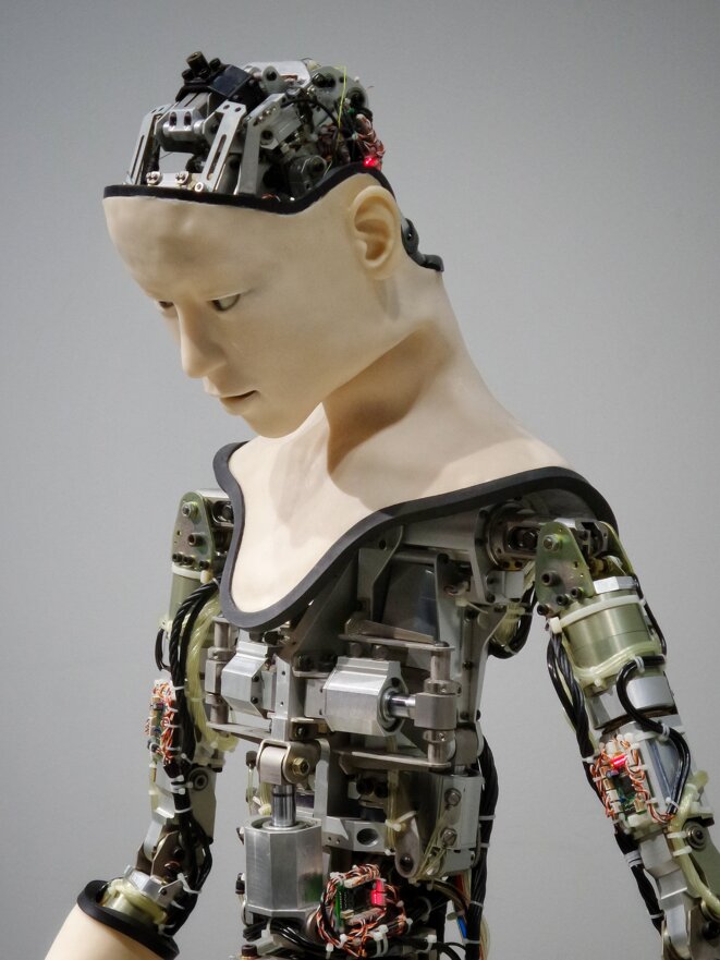 Mannequin robot © Franck Veschi Mannequin robot © Franck Veschi