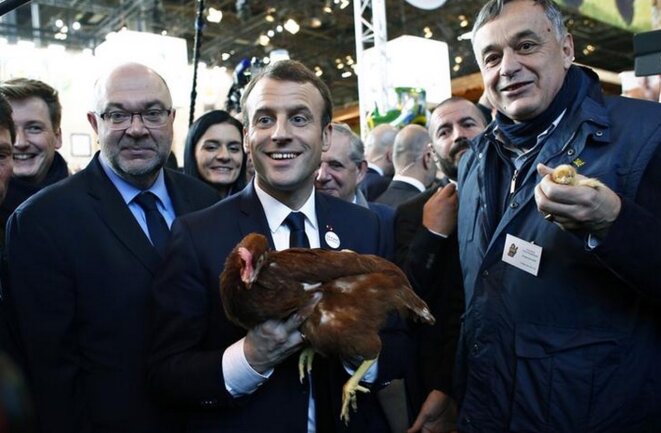 President Emmanuel Macron and a chicken at the Paris farm show, the Salon de l’Agriculture, February 24th, 2018. © Reuters
