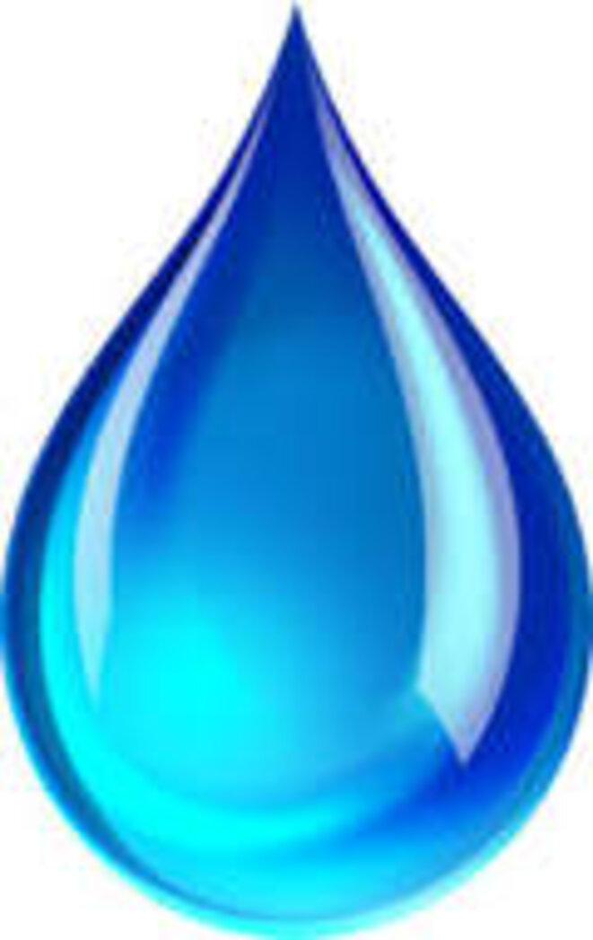 goutte