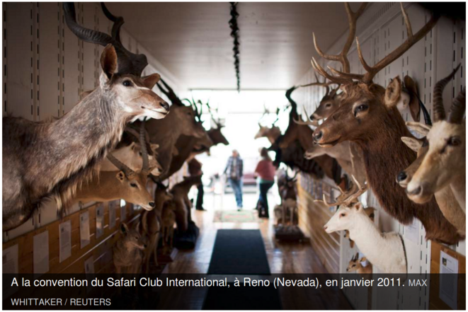 Un collège d'experts