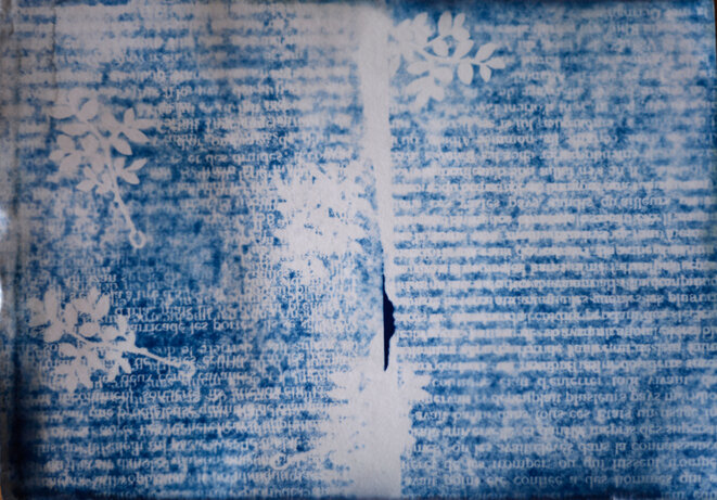 Exemple de cyanotype © Thomas Regdosz Exemple de cyanotype © Thomas Regdosz
