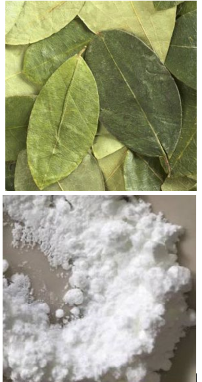 coca-cocaine