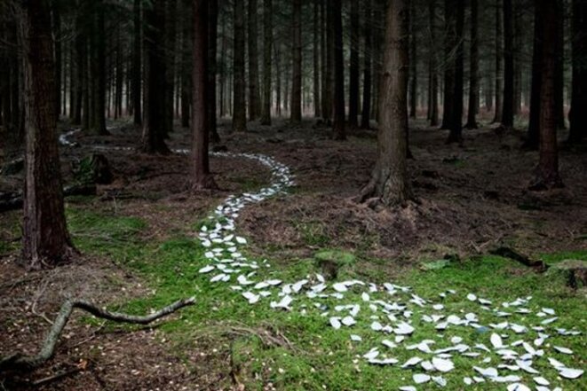 La photographe Ellie Davies trace des chemins dans la forêt anglaise à l’aide de différents matériaux. La photographe Ellie Davies trace des chemins dans la forêt anglaise à l’aide de différents matériaux.