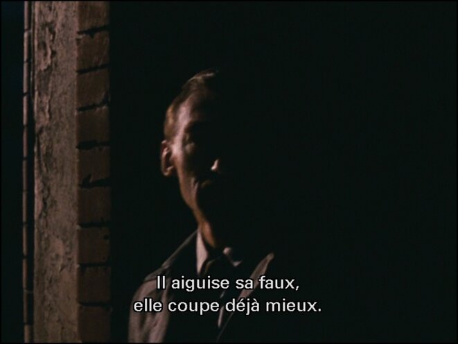 Reinhold Reinhold