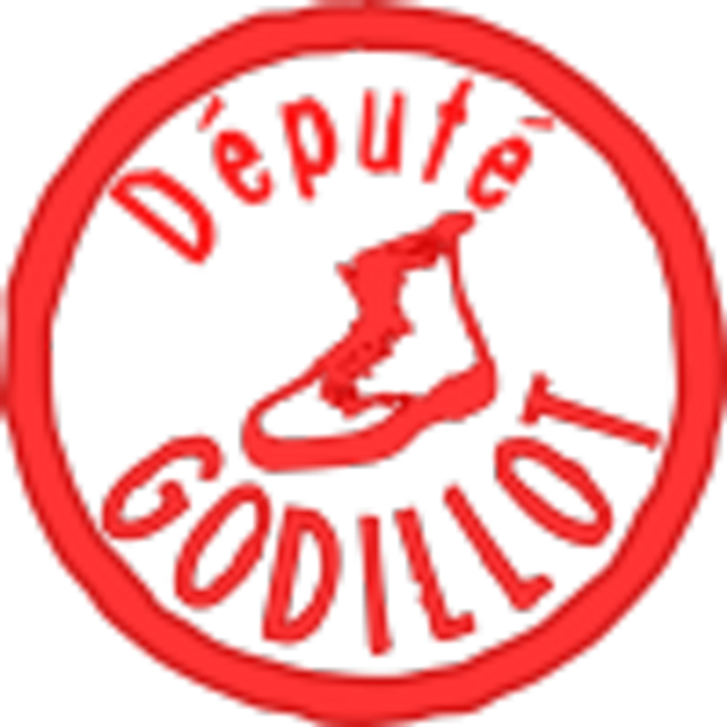 de-pute-s-godillots