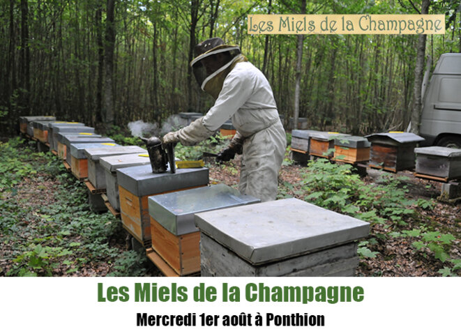 Fils d’agriculteurs conventionnels, je serai apiculteur bio