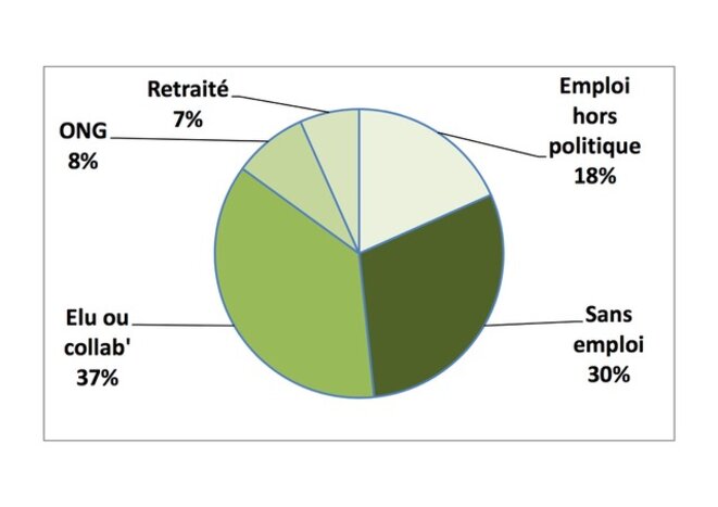 Répartition par type d'activité en juin 2018 (députés et collaborateurs) © F. Guerrien Répartition par type d'activité en juin 2018 (députés et collaborateurs) © F. Guerrien