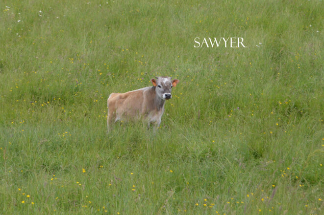 L-PEA lance la campagne "OBJECTIF 1000" !