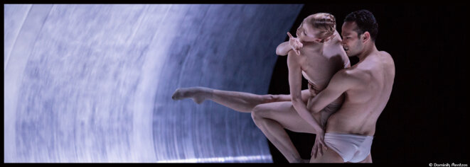 Extinction of a Minor Species, le ballet infernal et dantesque de Jacopo Godani