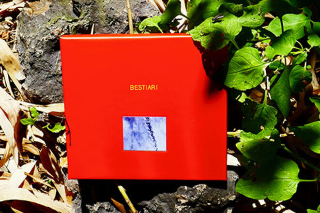 romain-baudoin-bestiari