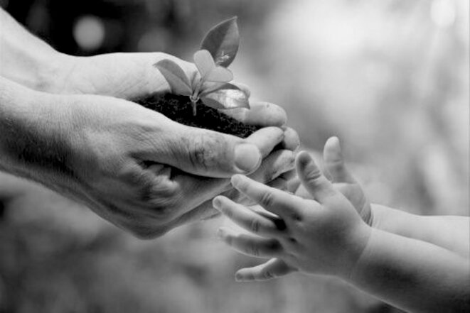 planting2