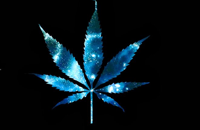 Les buralistes se disent "prêts" à vendre du cannabis.