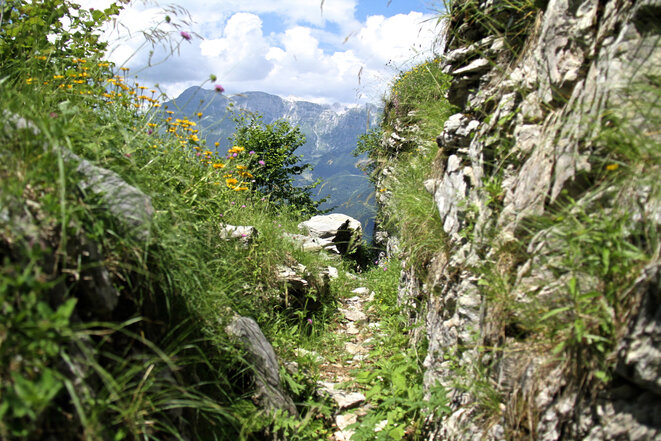 Trincheras italianas en el frente del Isonzo. © Laurent Geslin Trincheras italianas en el frente del Isonzo. © Laurent Geslin
