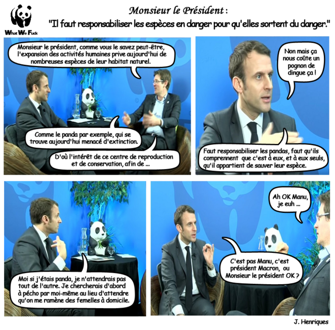© Jérôme Henriques © Jérôme Henriques