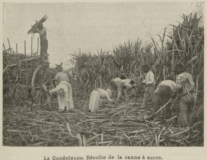 Amarreuses en Guadeloupe © Utopiques Amarreuses en Guadeloupe © Utopiques