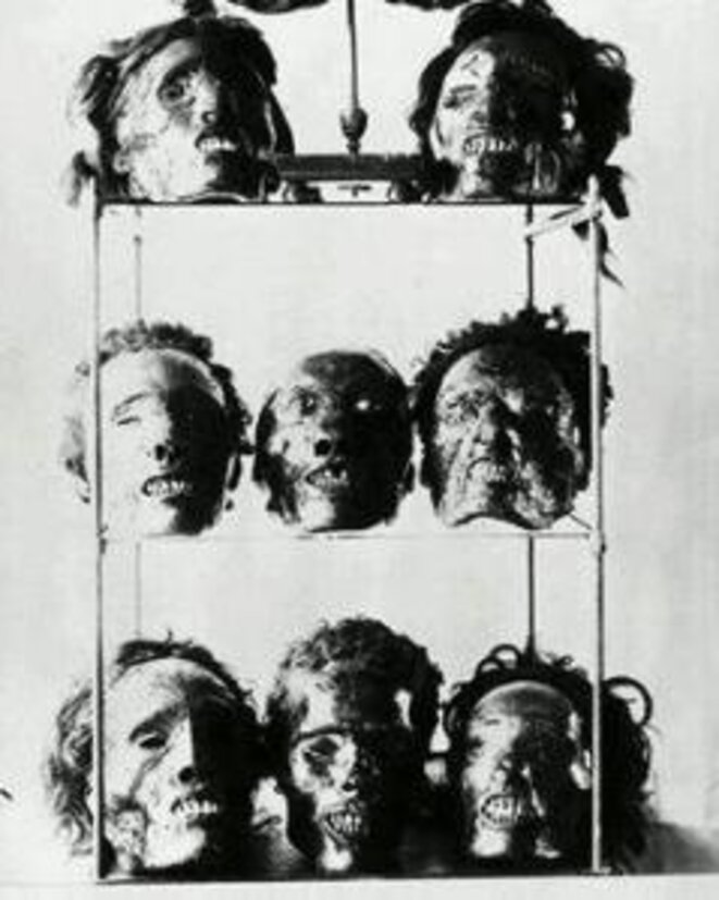 Restes ( crânes ) de résistants algériens au Musée de l'Homme à Paris Restes ( crânes ) de résistants algériens au Musée de l'Homme à Paris