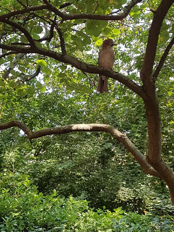 Monsieur Hulot s’en va…