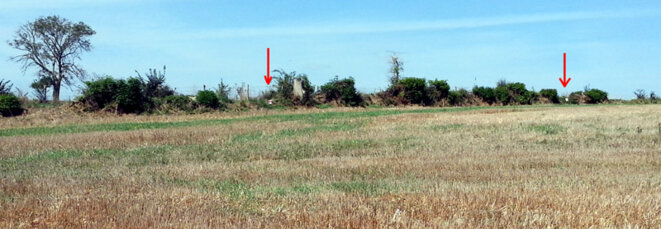 Distributeurs de céréales dans une haie d'arbres (récemment abattus par l'agriculteur) © Blog Ornito Distributeurs de céréales dans une haie d'arbres (récemment abattus par l'agriculteur) © Blog Ornito
