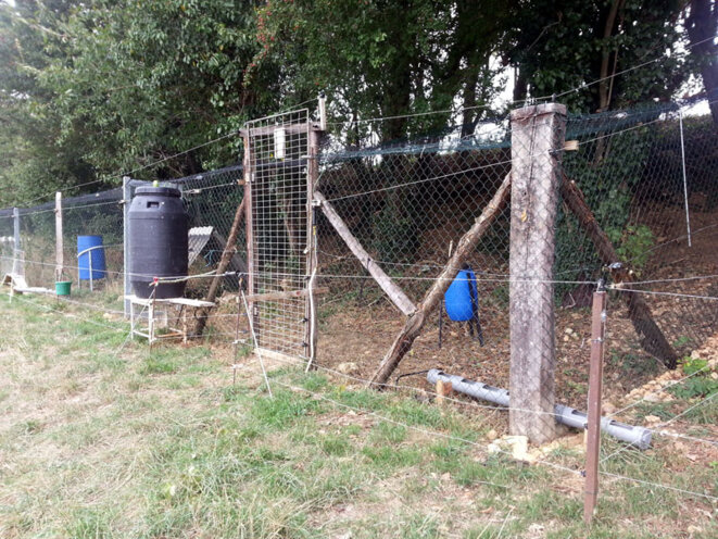 Cage d'élevage de faisans installée dans un champ © Blog Ornito Cage d'élevage de faisans installée dans un champ © Blog Ornito