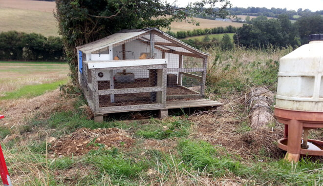 Cage d'élevage installée par la fédération de chasse © Blog Ornito Cage d'élevage installée par la fédération de chasse © Blog Ornito