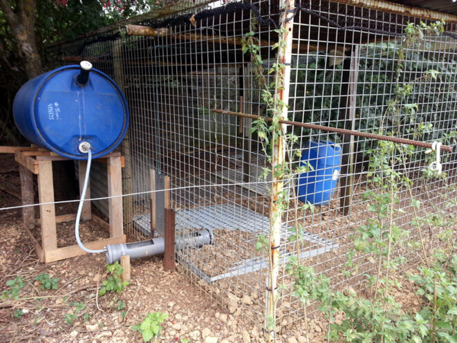 Cage d'élevage de faisans installée dans un champ © Blog Ornito Cage d'élevage de faisans installée dans un champ © Blog Ornito