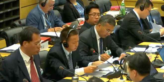 cerd-hearing