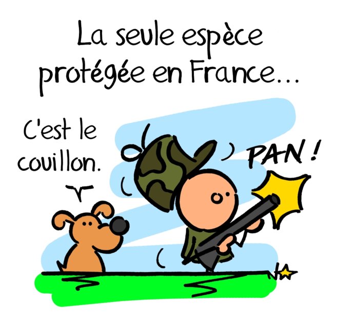 Ouverture de la chasse © Norb Ouverture de la chasse © Norb