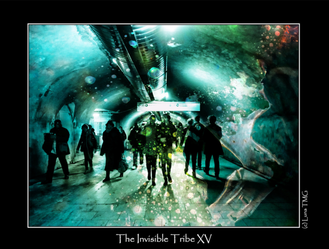 The invisible tribe XV © Luna TMG