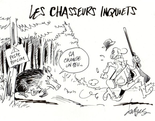 Ouiquinde Gastronomique Le Civet De Sanglier De Sebastien Et Anne Le Club De Mediapart Ouiquinde Gastronomique Le Civet De Sanglier De Sebastien Et Anne Le Club De Mediapart