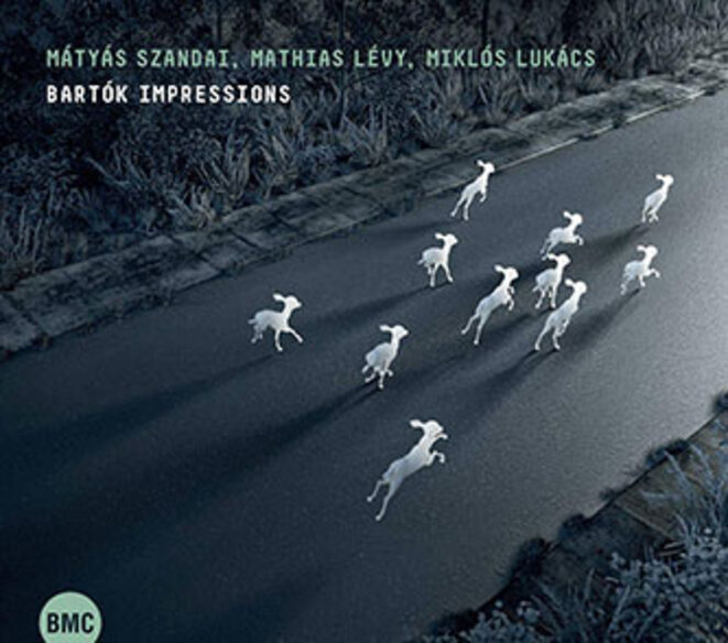 bartok-impressions