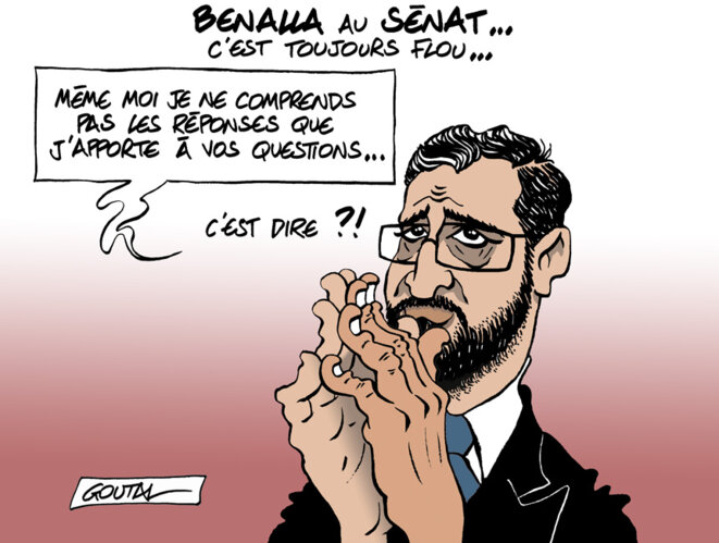 1-benalla-senat-flou-ds