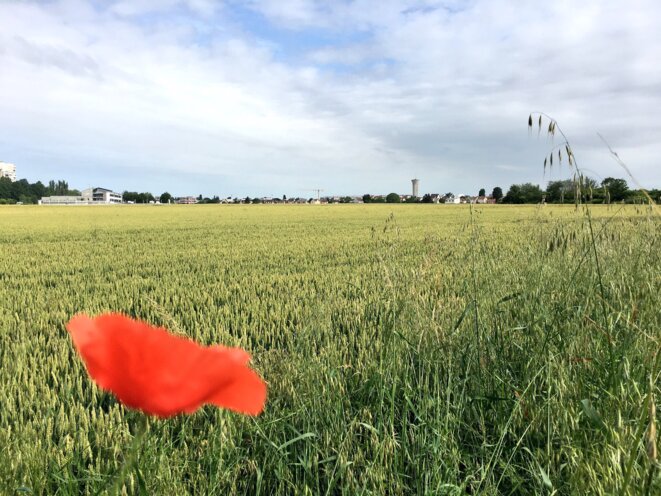 L’Université volante: une utopie concrète