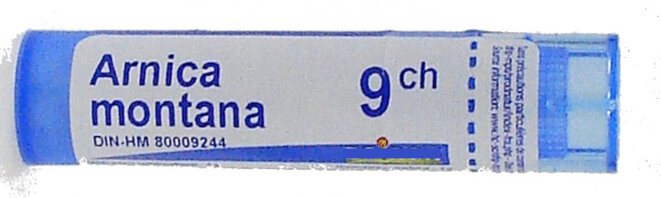 arnica-montana-1