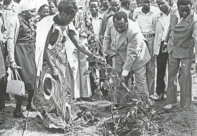 photos-wangari-maathai