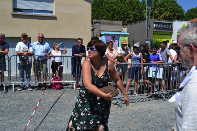 Les vaches envahissent la première circonscription de Nice