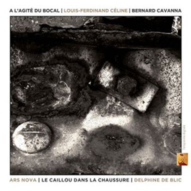 a-l-agite-du-bocal