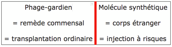 Phages naturels versus molécules artificielles © Christian Bois Phages naturels versus molécules artificielles © Christian Bois