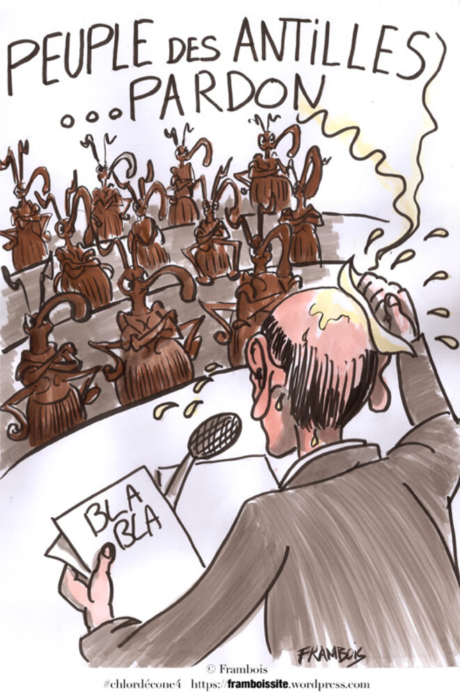 Le difficile mea culpa du Zoreille