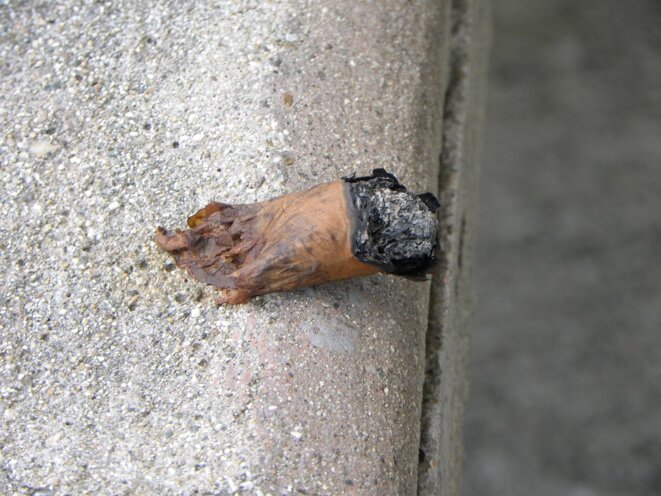 Cigare... © Guy catalo Cigare... © Guy catalo