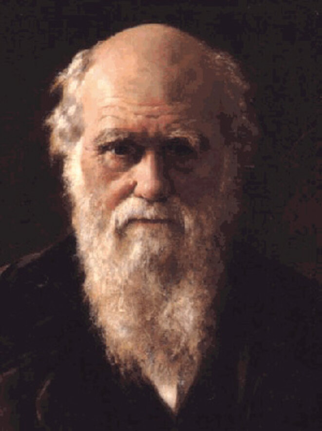darwin